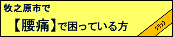 myimage385.png