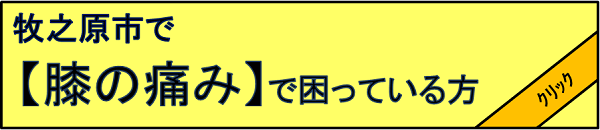 myimage387.png